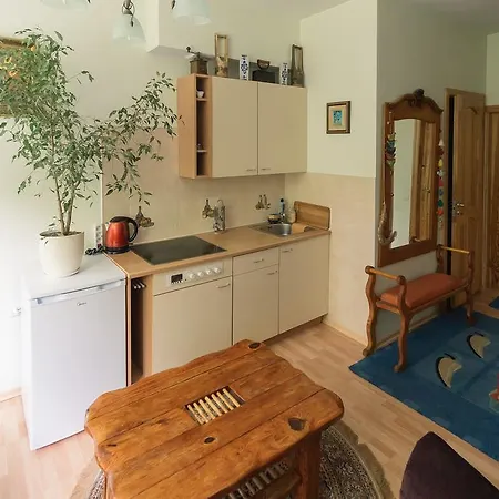 Apartment Grybo Studio *