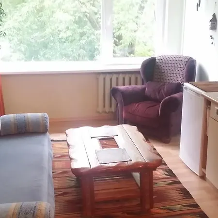 Grybo Studio Apartment Vilnius