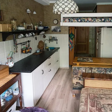 Grybo Studio Apartment Vilnius